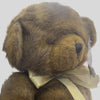 Premium Soft Fabric Brown Teddy Bear  for All Occasions
